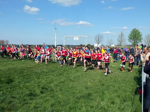 AYX官网-青少年体育社交平台互动行为研究，青少年体育文化