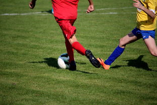 爱游戏官方-国家女篮训练日程公开每日训练内容紧张高效，国家队女篮在哪里训练